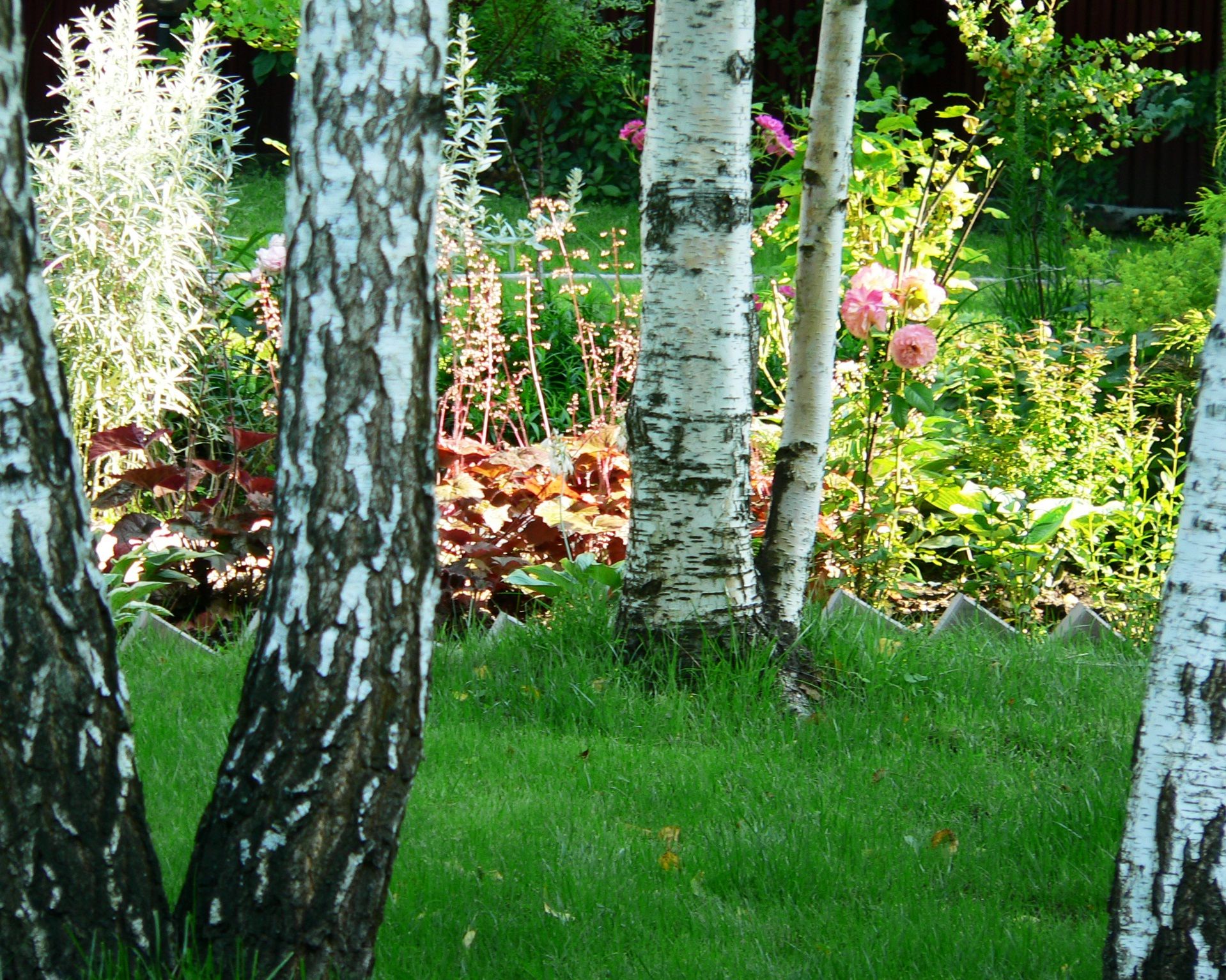 Проект Дачная Поляна